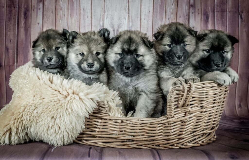beginner-image1